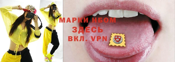 гашик Инта