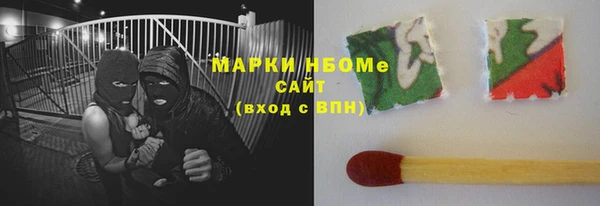 гашик Инта