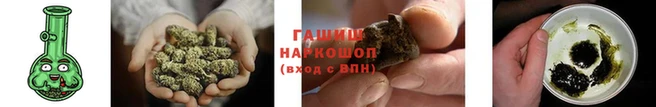 гашик Инта