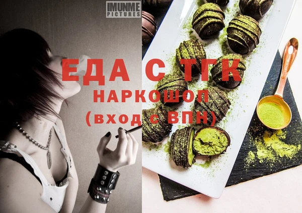 гашик Инта