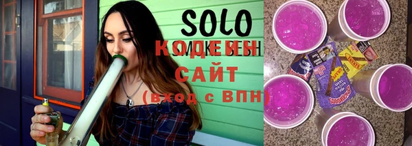 гашик Инта