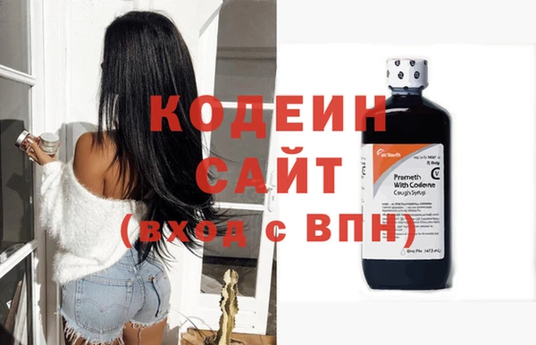 гашик Инта