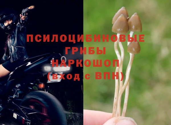 герыч Иннополис