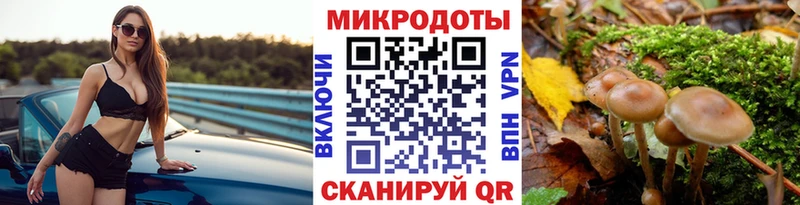 Псилоцибиновые грибы мицелий  Купить закладки  Гуково 